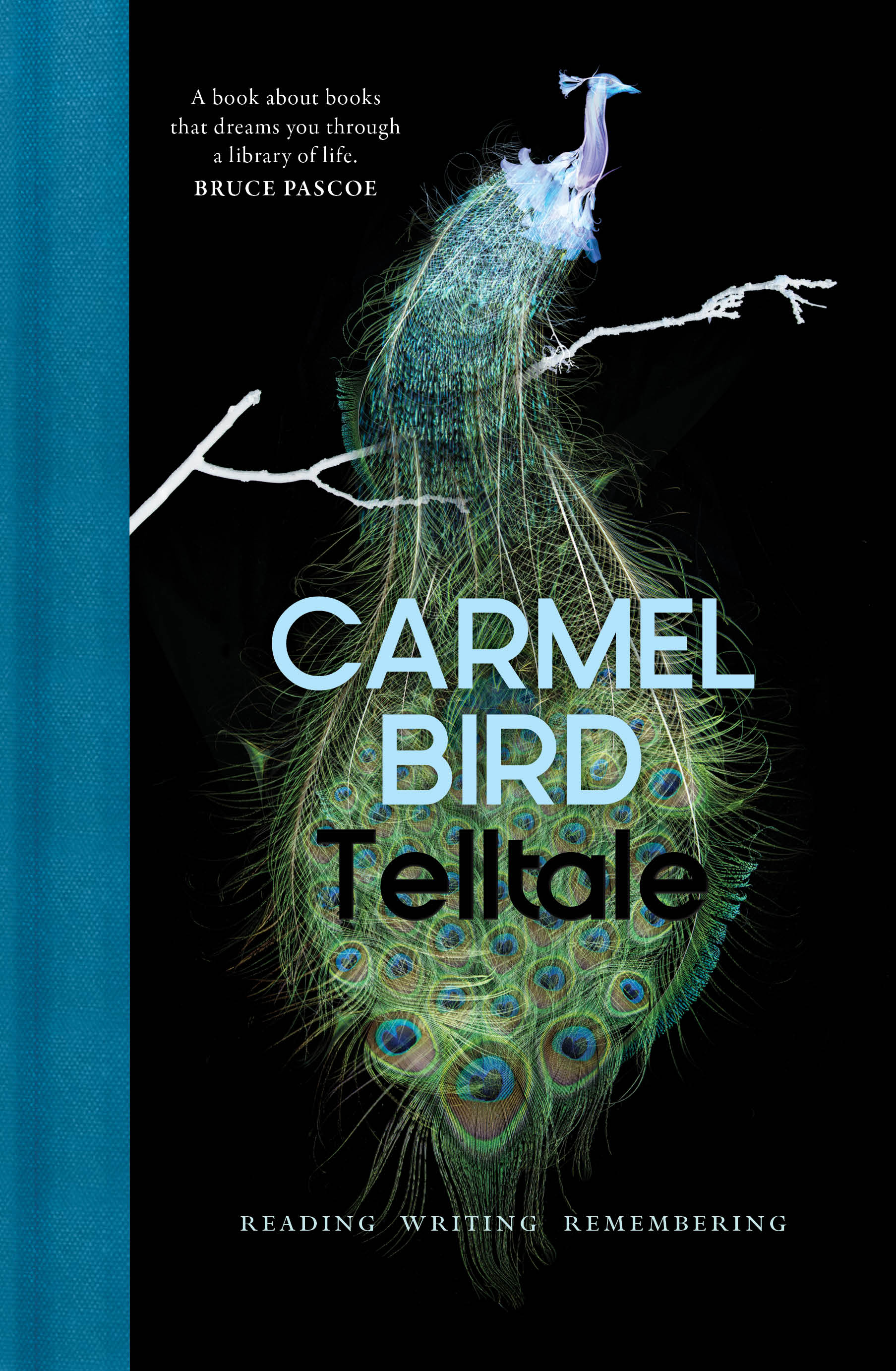 Launch of Telltale by Carmel Bird