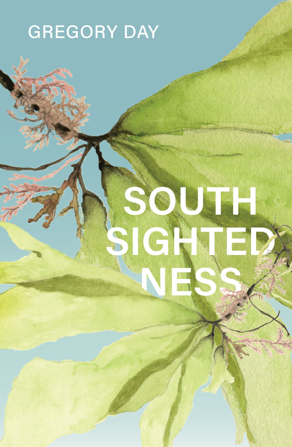 Southsightedness